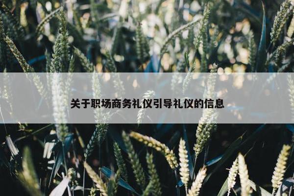 关于职场商务礼仪引导礼仪的信息