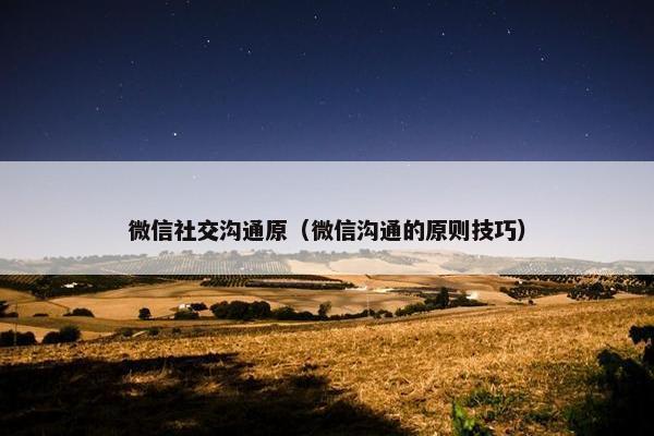 微信社交沟通原（微信沟通的原则技巧）