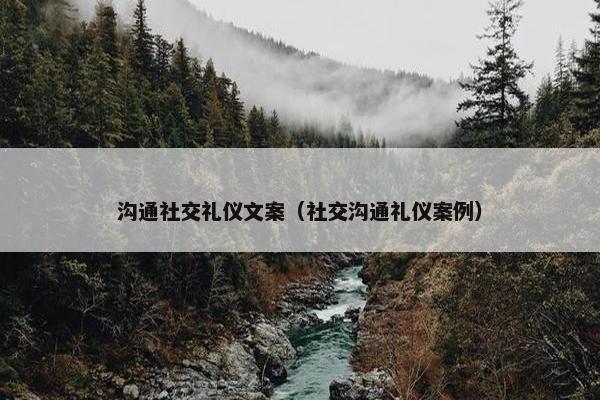 沟通社交礼仪文案（社交沟通礼仪案例）