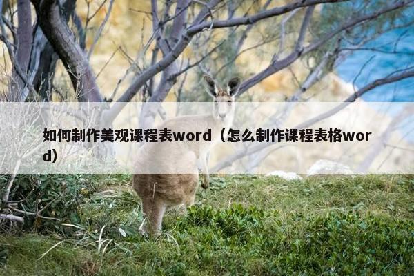 如何制作美观课程表word（怎么制作课程表格word）