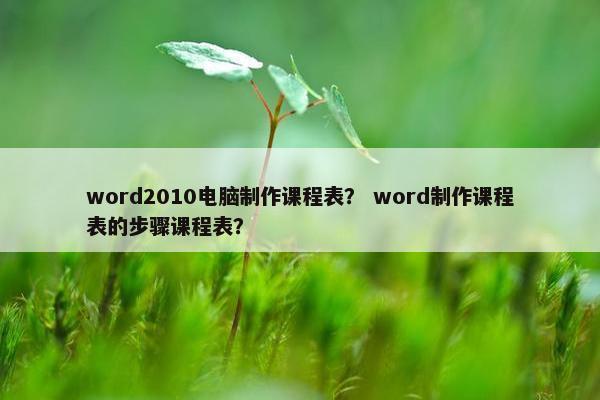 word2010电脑制作课程表？ word制作课程表的步骤课程表？