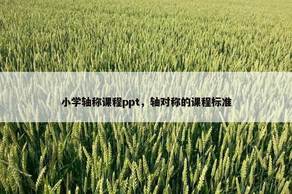 小学轴称课程ppt，轴对称的课程标准