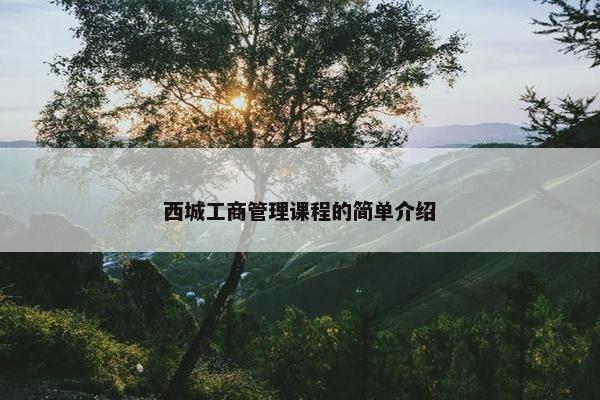 西城工商管理课程的简单介绍