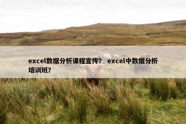 excel数据分析课程宣传？ excel中数据分析培训班？