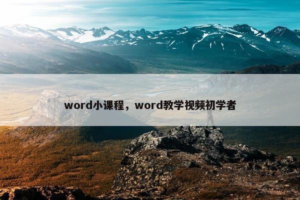 word小课程，word教学视频初学者