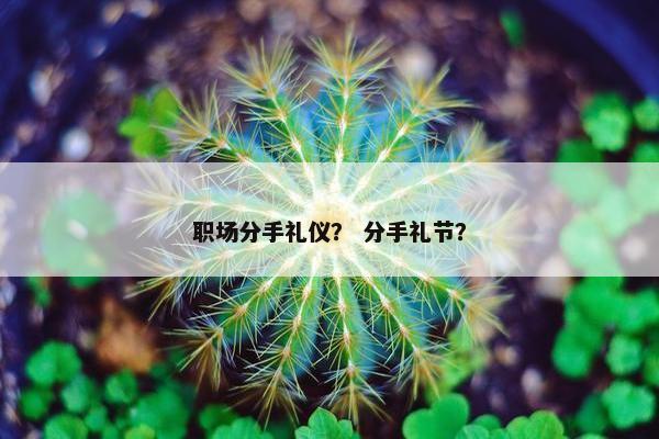 职场分手礼仪？ 分手礼节？