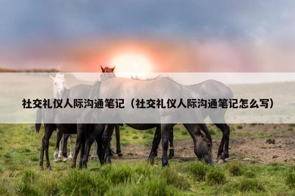 社交礼仪人际沟通笔记（社交礼仪人际沟通笔记怎么写）
