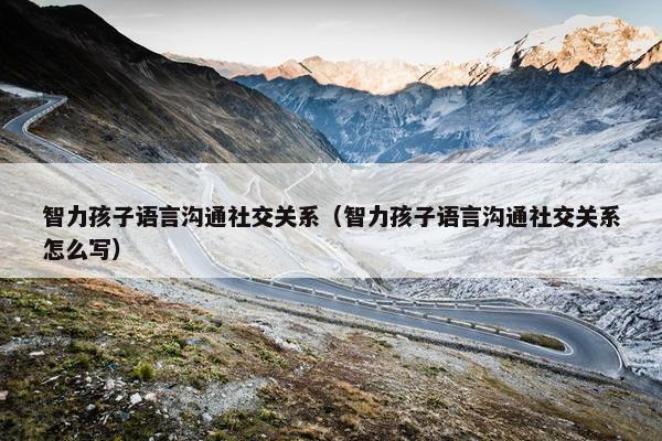 智力孩子语言沟通社交关系（智力孩子语言沟通社交关系怎么写）