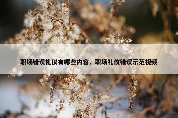 职场错误礼仪有哪些内容，职场礼仪错误示范视频