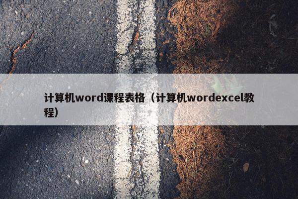 计算机word课程表格（计算机wordexcel教程）