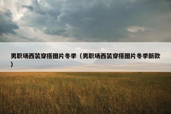 男职场西装穿搭图片冬季（男职场西装穿搭图片冬季新款）