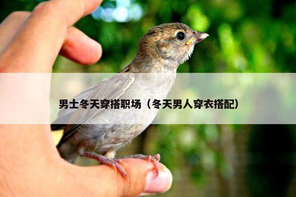 男士冬天穿搭职场（冬天男人穿衣搭配）