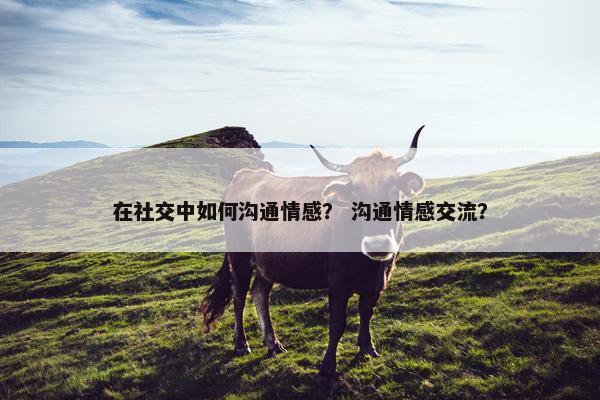 在社交中如何沟通情感？ 沟通情感交流？