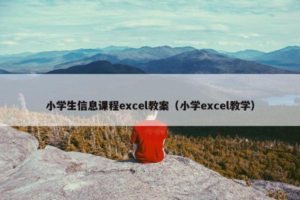 小学生信息课程excel教案（小学excel教学）