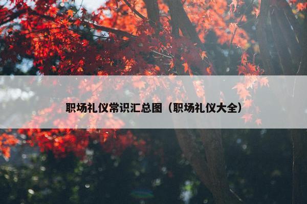 职场礼仪常识汇总图（职场礼仪大全）