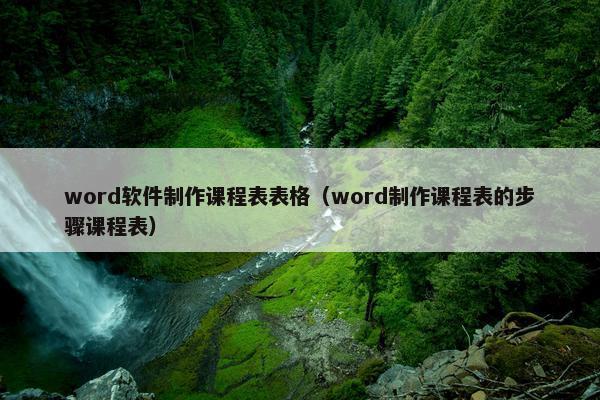 word软件制作课程表表格（word制作课程表的步骤课程表）