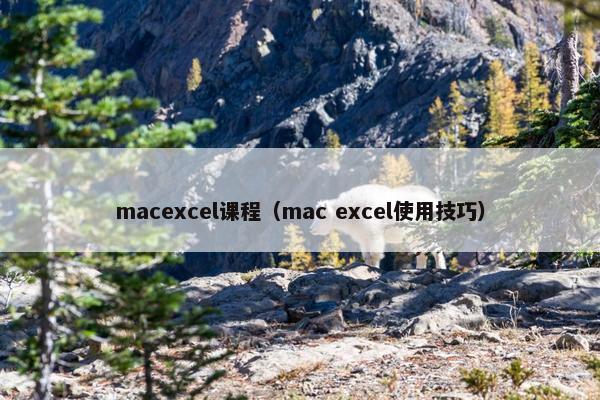 macexcel课程（mac excel使用技巧）