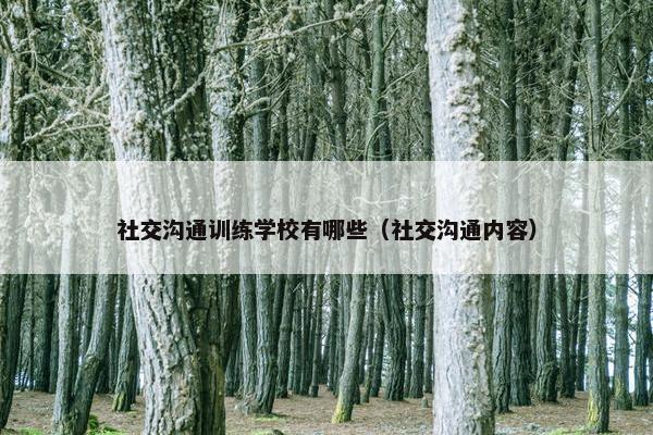 社交沟通训练学校有哪些（社交沟通内容）