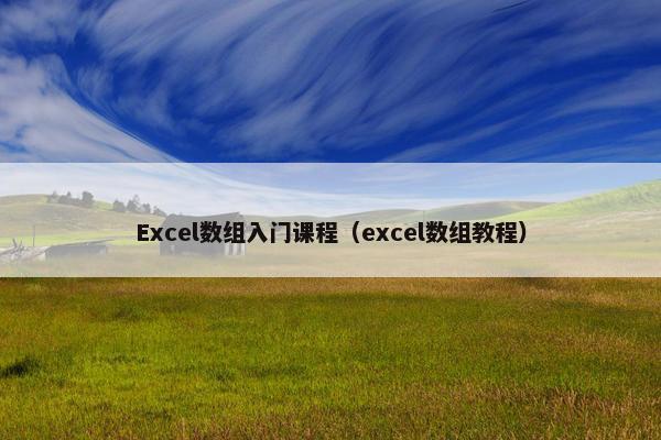 Excel数组入门课程（excel数组教程）