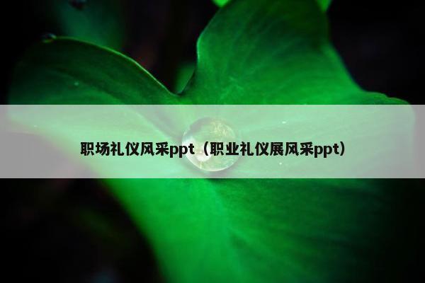 职场礼仪风采ppt（职业礼仪展风采ppt）
