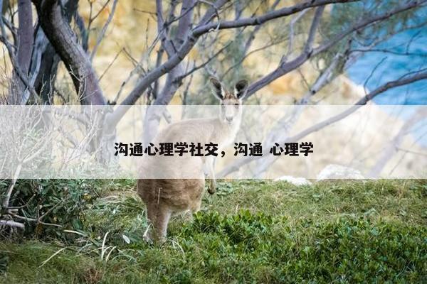 沟通心理学社交，沟通 心理学