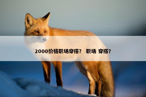 2000价格职场穿搭？ 职场 穿搭？
