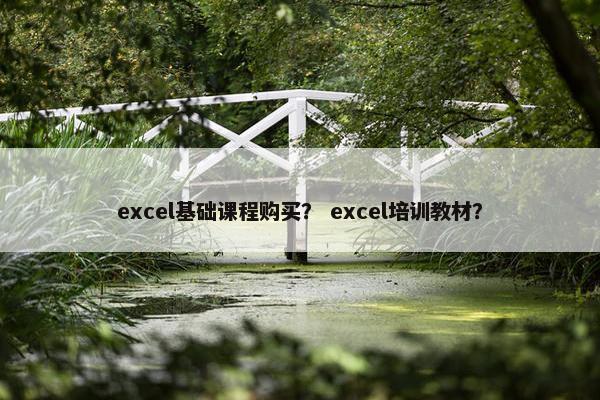 excel基础课程购买？ excel培训教材？
