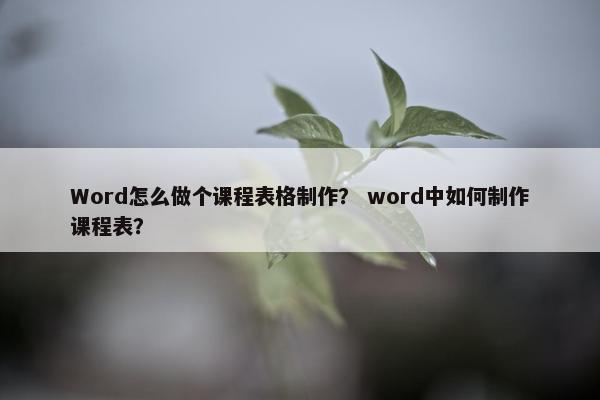 Word怎么做个课程表格制作？ word中如何制作课程表？
