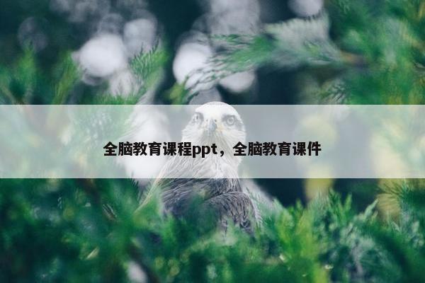 全脑教育课程ppt，全脑教育课件