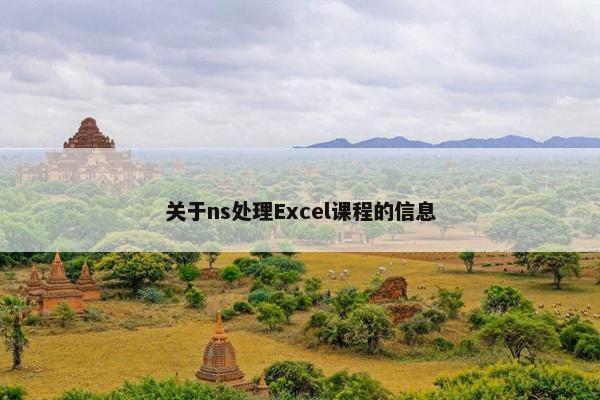 关于ns处理Excel课程的信息
