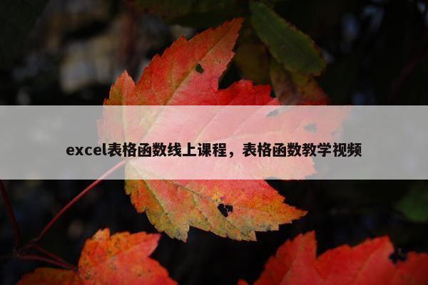 excel表格函数线上课程，表格函数教学视频