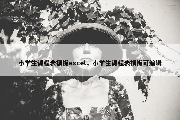 小学生课程表模板excel，小学生课程表模板可编辑