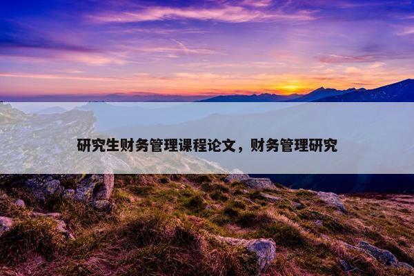 研究生财务管理课程论文，财务管理研究