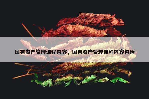 国有资产管理课程内容，国有资产管理课程内容包括