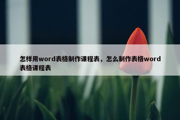 怎样用word表格制作课程表，怎么制作表格word表格课程表