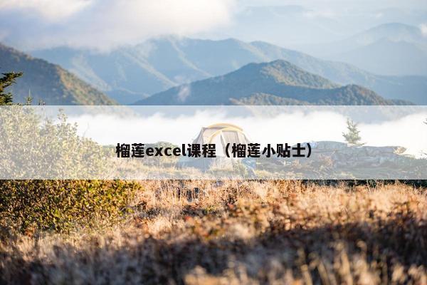 榴莲excel课程（榴莲小贴士）