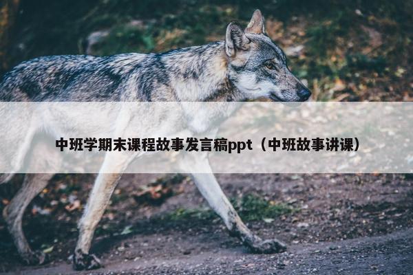 中班学期末课程故事发言稿ppt（中班故事讲课）