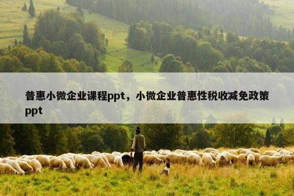 普惠小微企业课程ppt，小微企业普惠性税收减免政策ppt