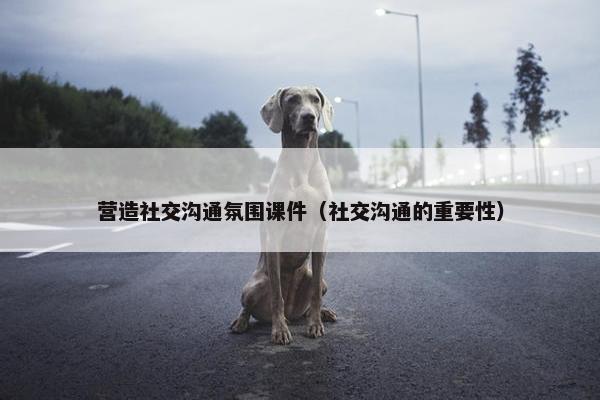 营造社交沟通氛围课件（社交沟通的重要性）
