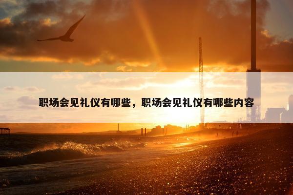 职场会见礼仪有哪些，职场会见礼仪有哪些内容