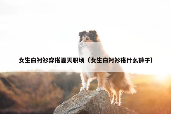 女生白衬衫穿搭夏天职场（女生白衬衫搭什么裤子）