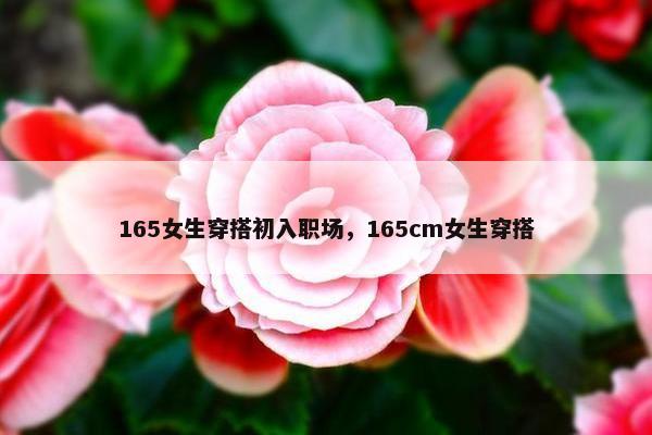 165女生穿搭初入职场，165cm女生穿搭