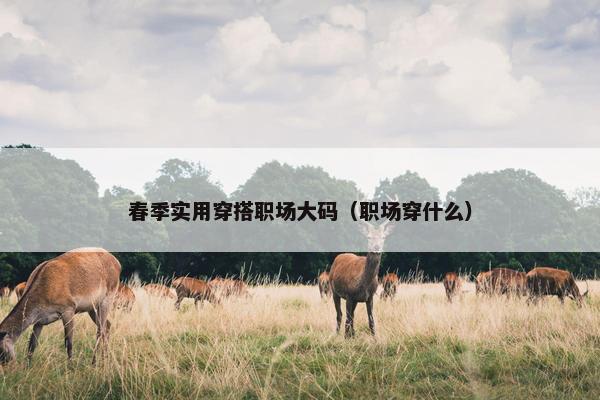 春季实用穿搭职场大码（职场穿什么）