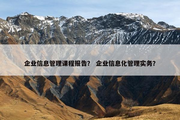 企业信息管理课程报告？ 企业信息化管理实务？