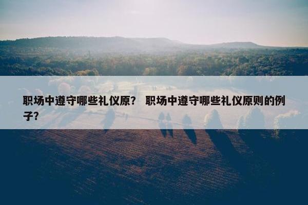 职场中遵守哪些礼仪原？ 职场中遵守哪些礼仪原则的例子？