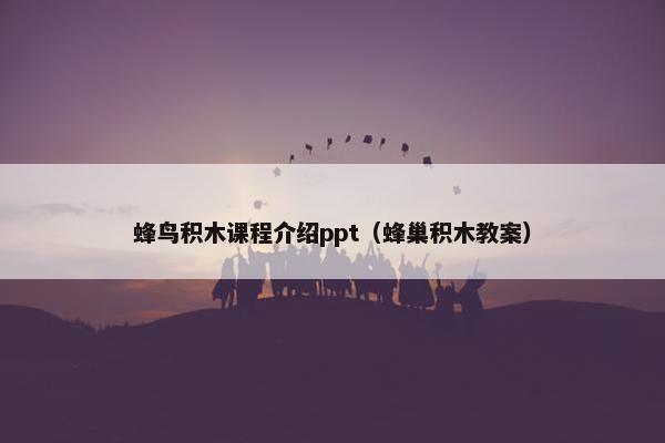 蜂鸟积木课程介绍ppt（蜂巢积木教案）