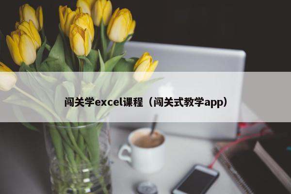 闯关学excel课程（闯关式教学app）