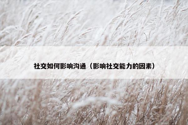社交如何影响沟通（影响社交能力的因素）