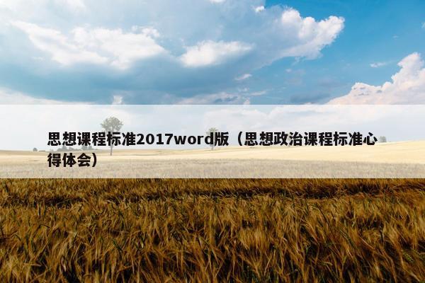 思想课程标准2017word版（思想政治课程标准心得体会）