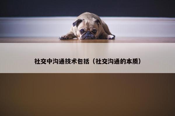 社交中沟通技术包括（社交沟通的本质）